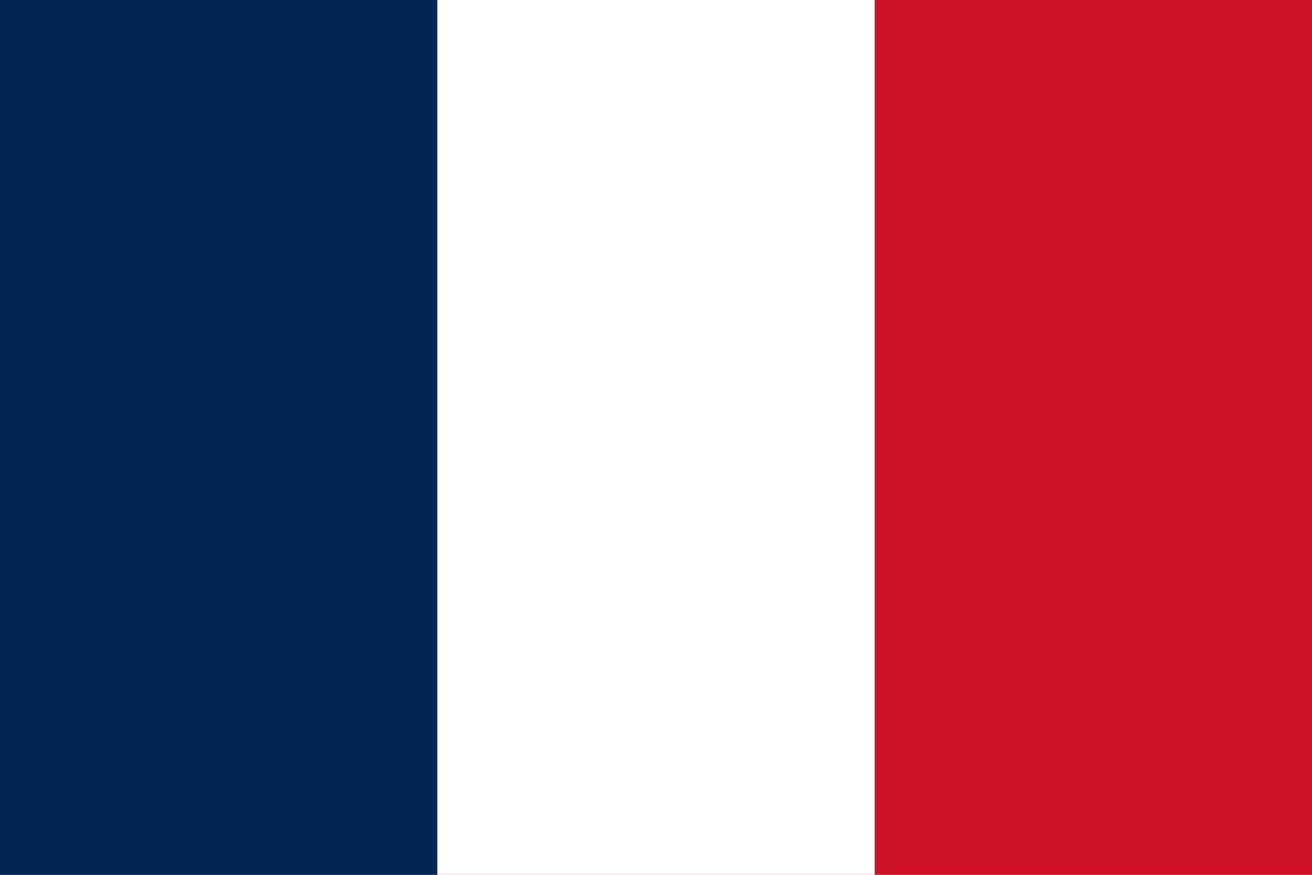 Flag 19
