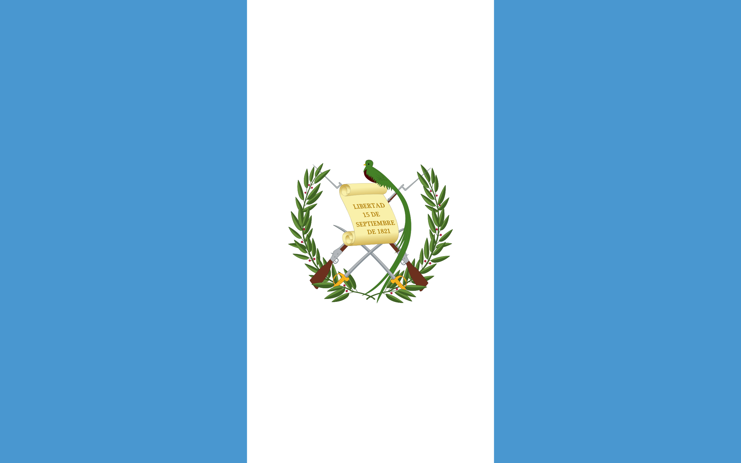 Flag 13