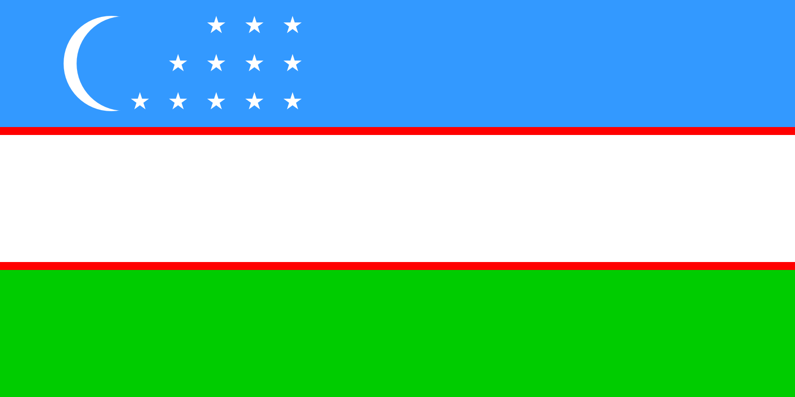 Flag 31