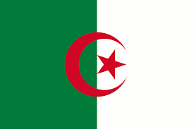 Flag 9