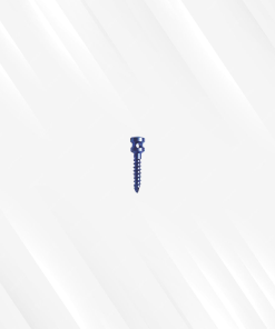 Intermaxillary Fixation Screw (IMF)