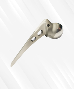 Austin Moore Hip Prosthesis