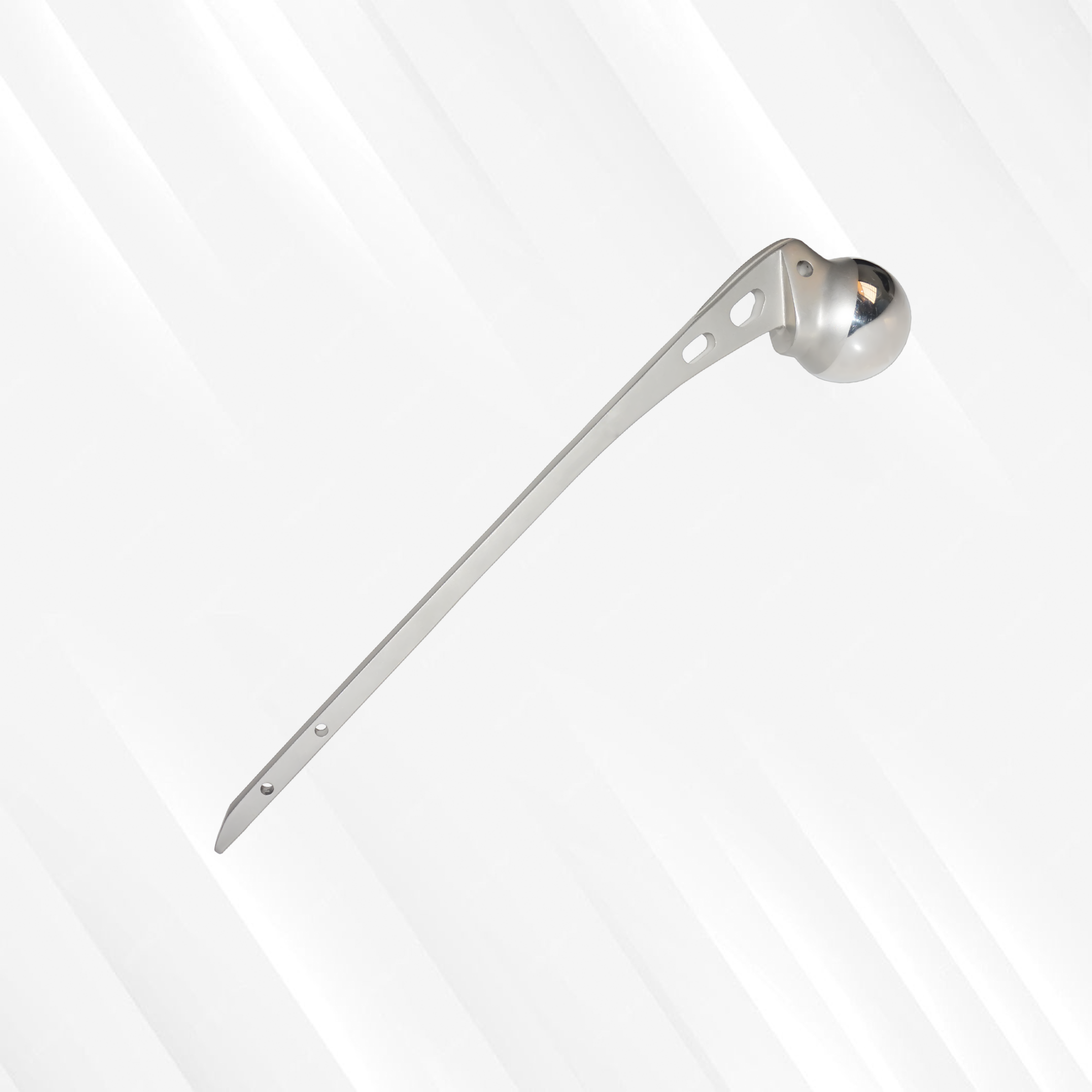 Austin Moore Hip Prosthesis